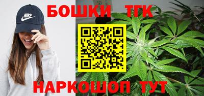 СК Дубна